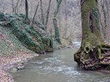 Gaja-szurdok